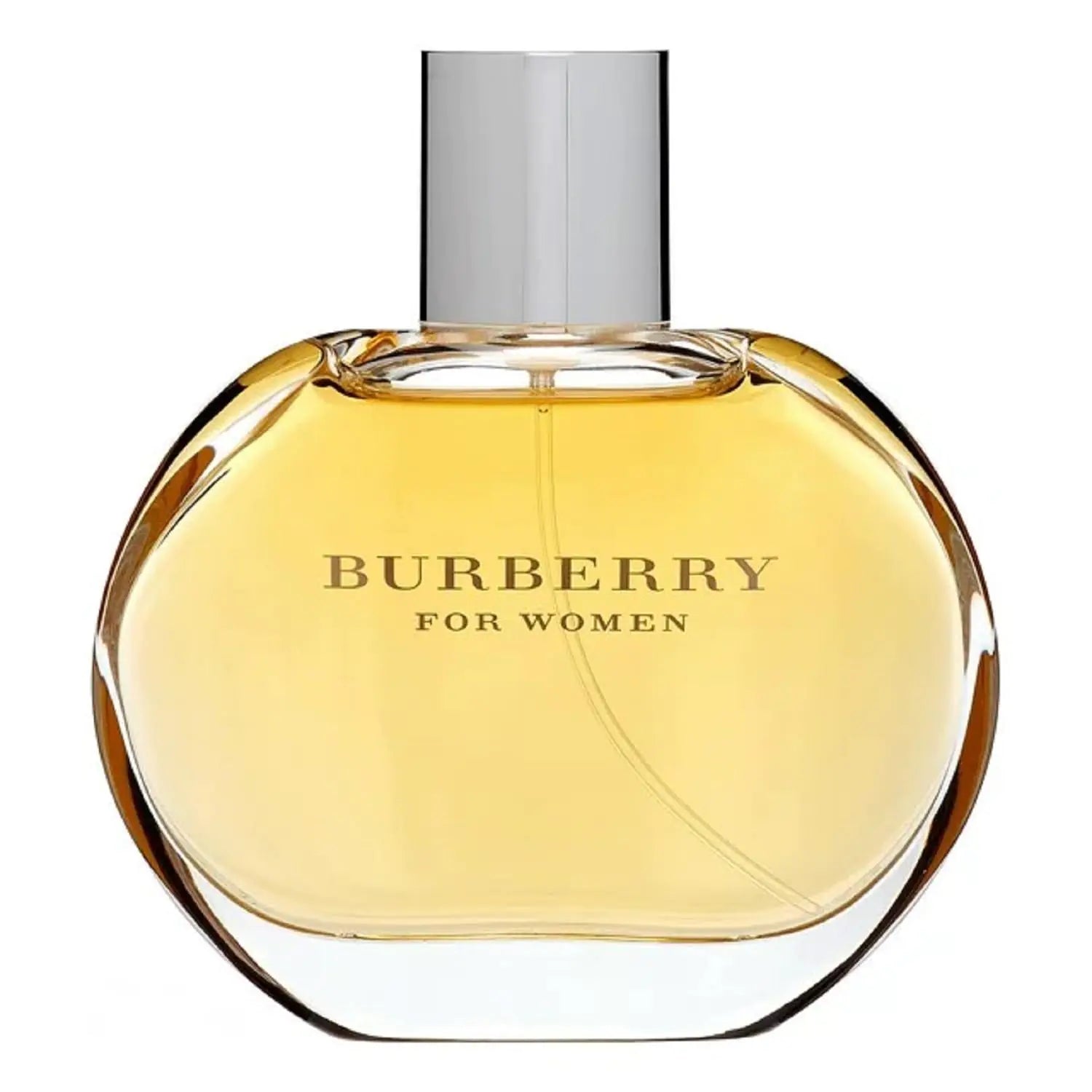 Burberry Womens Classic Eau de Parfum 3.3 Fl Oz